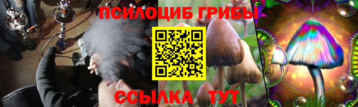 Сафоново  Галлюциногенные грибы Magic Shrooms  Вход с VPN 